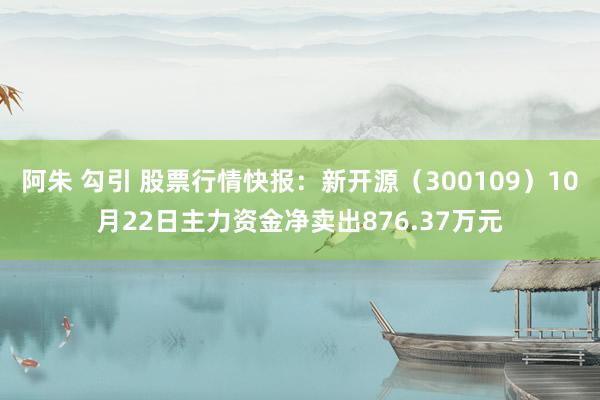 阿朱 勾引 股票行情快报：新开源（300109）10月22日主力资金净卖出876.37万元