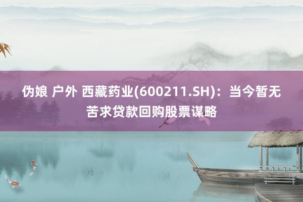 伪娘 户外 西藏药业(600211.SH)：当今暂无苦求贷款回购股票谋略
