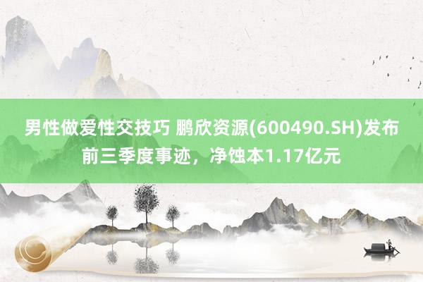 男性做爱性交技巧 鹏欣资源(600490.SH)发布前三季度事迹，净蚀本1.17亿元