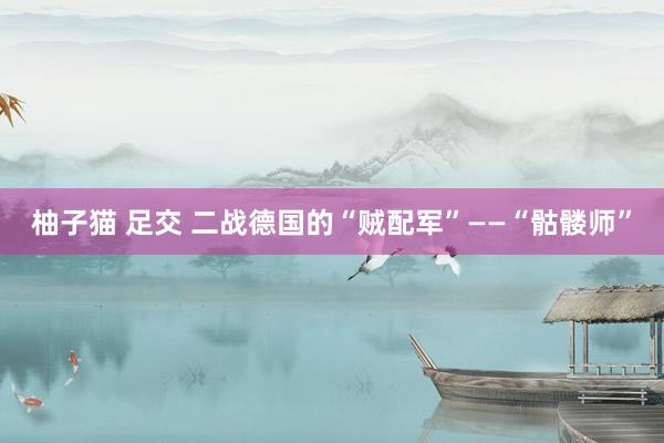 柚子猫 足交 二战德国的“贼配军”——“骷髅师”