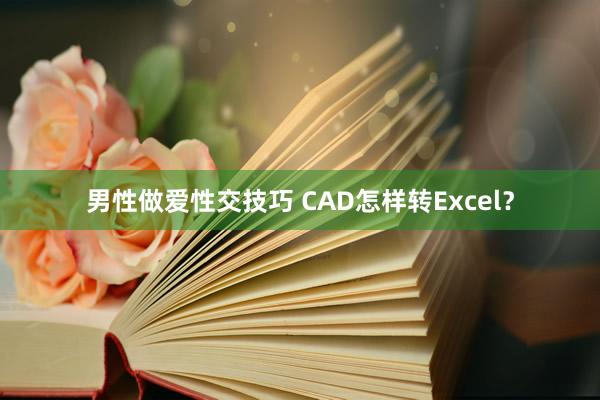男性做爱性交技巧 CAD怎样转Excel？