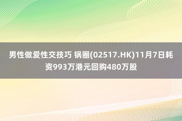 男性做爱性交技巧 锅圈(02517.HK)11月7日耗资993万港元回购480万股