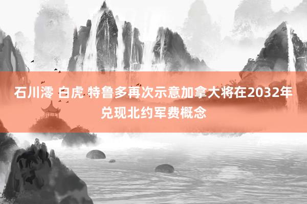 石川澪 白虎 特鲁多再次示意加拿大将在2032年兑现北约军费概念