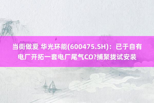 当街做爱 华光环能(600475.SH)：已于自有电厂开拓一套电厂尾气CO?捕聚拢试安装