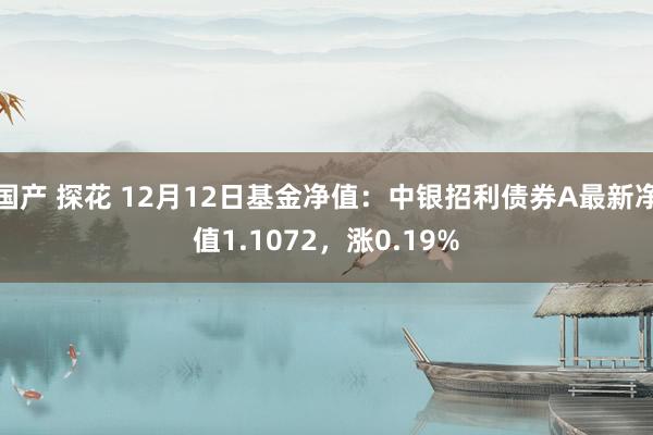 国产 探花 12月12日基金净值：中银招利债券A最新净值1.1072，涨0.19%