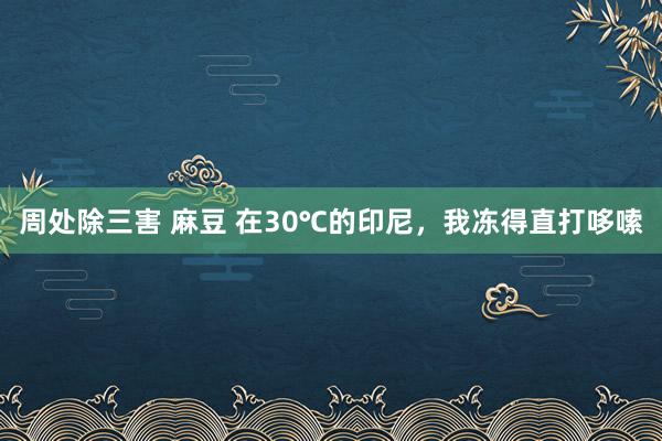 周处除三害 麻豆 在30℃的印尼，我冻得直打哆嗦