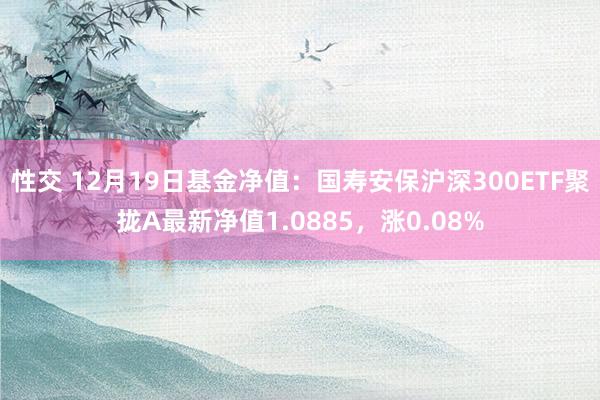 性交 12月19日基金净值：国寿安保沪深300ETF聚拢A最新净值1.0885，涨0.08%