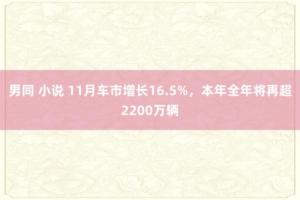 男同 小说 11月车市增长16.5%，本年全年将再超2200万辆