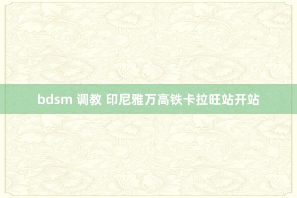 bdsm 调教 印尼雅万高铁卡拉旺站开站