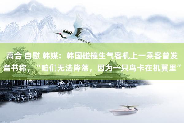 高合 自慰 韩媒：韩国碰撞生气客机上一乘客曾发音书称，“咱们无法降落，因为一只鸟卡在机翼里”