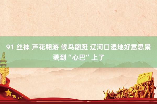 91 丝袜 芦花翱游 候鸟翩跹 辽河口湿地好意思景戳到“心巴”上了