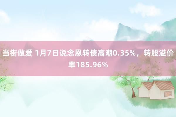 当街做爱 1月7日说念恩转债高潮0.35%，转股溢价率185.96%