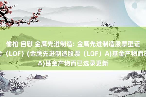 偷拍 自慰 金鹰先进制造: 金鹰先进制造股票型证券投资基金(LOF)(金鹰先进制造股票(LOF)A)基金产物而已选录更新