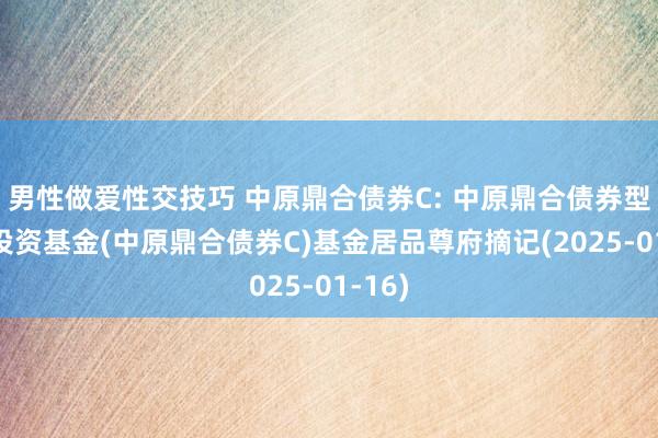 男性做爱性交技巧 中原鼎合债券C: 中原鼎合债券型证券投资基金(中原鼎合债券C)基金居品尊府摘记(2025-01-16)