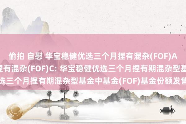 偷拍 自慰 华宝稳健优选三个月捏有混杂(FOF)A,华宝稳健优选三个月捏有混杂(FOF)C: 华宝稳健优选三个月捏有期混杂型基金中基金(FOF)基金份额发售公告
