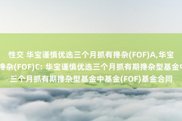 性交 华宝谨慎优选三个月抓有搀杂(FOF)A,华宝谨慎优选三个月抓有搀杂(FOF)C: 华宝谨慎优选三个月抓有期搀杂型基金中基金(FOF)基金合同