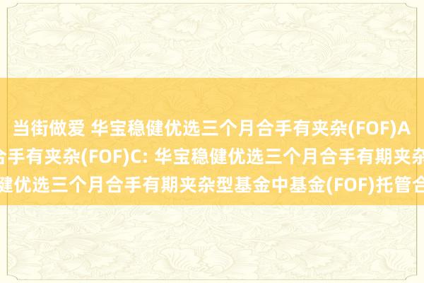 当街做爱 华宝稳健优选三个月合手有夹杂(FOF)A,华宝稳健优选三个月合手有夹杂(FOF)C: 华宝稳健优选三个月合手有期夹杂型基金中基金(FOF)托管合同
