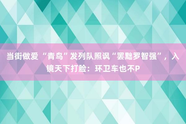 当街做爱 “青鸟”发列队照讽“罢黜罗智强”，入镜天下打脸：环卫车也不P