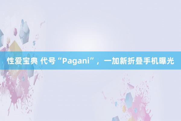 性爱宝典 代号“Pagani”，一加新折叠手机曝光