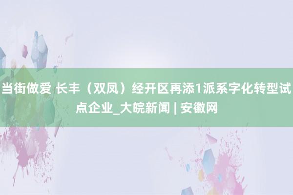 当街做爱 长丰（双凤）经开区再添1派系字化转型试点企业_大皖新闻 | 安徽网