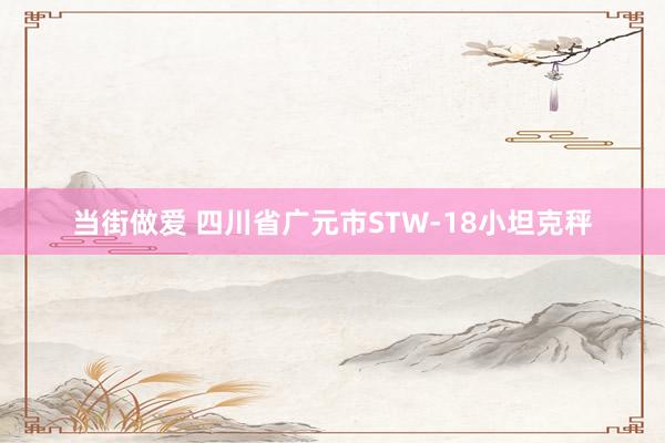 当街做爱 四川省广元市STW-18小坦克秤