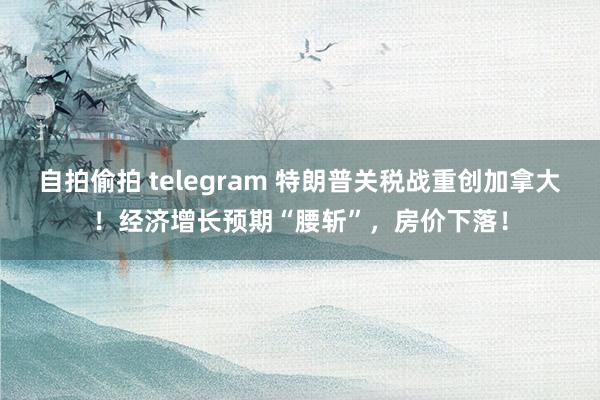 自拍偷拍 telegram 特朗普关税战重创加拿大！经济增长预期“腰斩”，房价下落！
