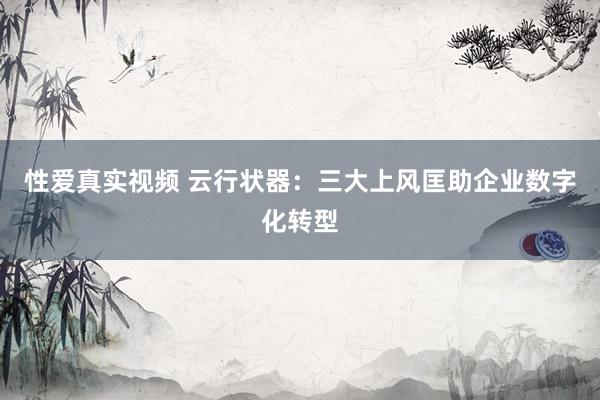 性爱真实视频 云行状器：三大上风匡助企业数字化转型