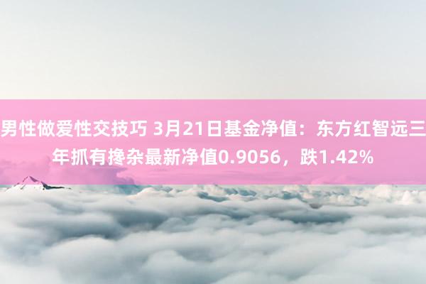 男性做爱性交技巧 3月21日基金净值：东方红智远三年抓有搀杂最新净值0.9056，跌1.42%