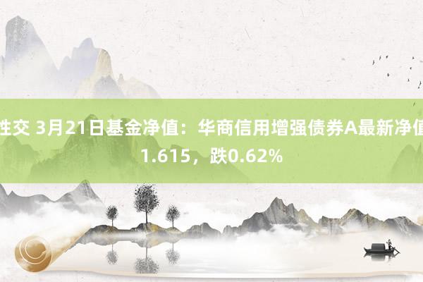 性交 3月21日基金净值：华商信用增强债券A最新净值1.615，跌0.62%
