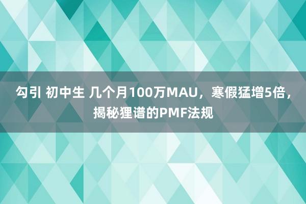 勾引 初中生 几个月100万MAU，寒假猛增5倍，揭秘狸谱的PMF法规