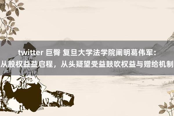 twitter 巨臀 复旦大学法学院阐明葛伟军：从股权益益启程，从头疑望受益鼓吹权益与赠给机制