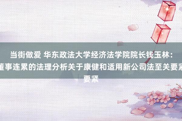 当街做爱 华东政法大学经济法学院院长钱玉林：董事连累的法理分析关于康健和适用新公司法至关要紧