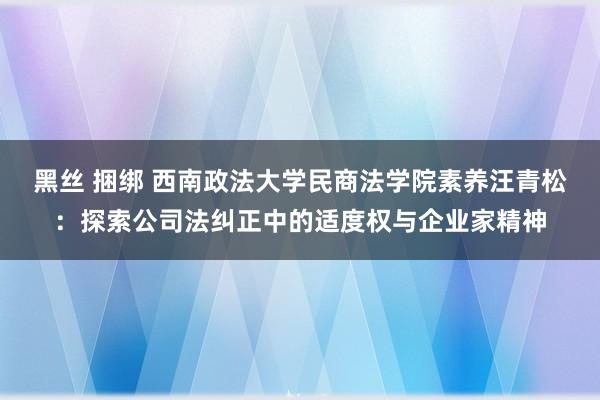 黑丝 捆绑 西南政法大学民商法学院素养汪青松：探索公司法纠正中的适度权与企业家精神