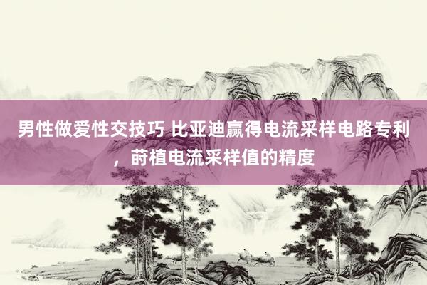 男性做爱性交技巧 比亚迪赢得电流采样电路专利，莳植电流采样值的精度