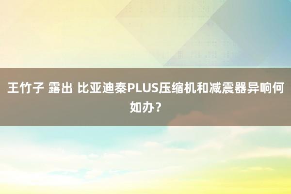 王竹子 露出 比亚迪秦PLUS压缩机和减震器异响何如办？