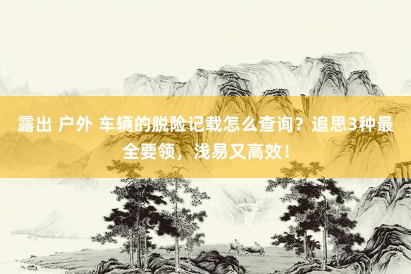 露出 户外 车辆的脱险记载怎么查询？追思3种最全要领，浅易又高效！