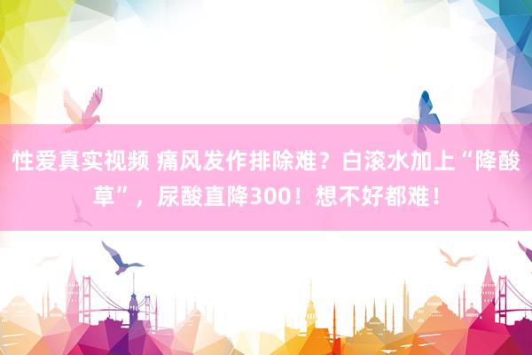 性爱真实视频 痛风发作排除难？白滚水加上“降酸草”，尿酸直降300！想不好都难！