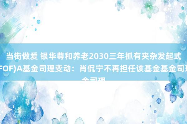 当街做爱 银华尊和养老2030三年抓有夹杂发起式(FOF)A基金司理变动：肖侃宁不再担任该基金基金司理
