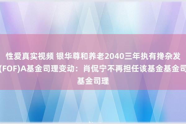性爱真实视频 银华尊和养老2040三年执有搀杂发起(FOF)A基金司理变动：肖侃宁不再担任该基金基金司理