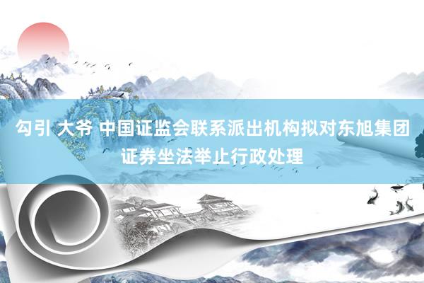 勾引 大爷 中国证监会联系派出机构拟对东旭集团证券坐法举止行政处理