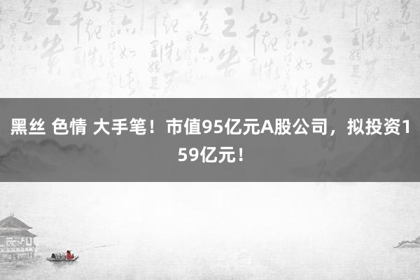 黑丝 色情 大手笔！市值95亿元A股公司，拟投资159亿元！