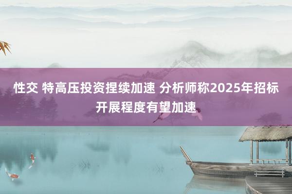 性交 特高压投资捏续加速 分析师称2025年招标开展程度有望加速