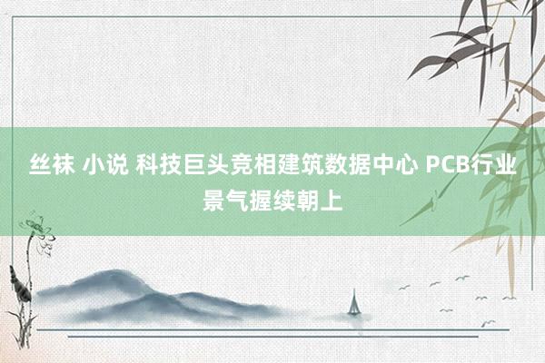 丝袜 小说 科技巨头竞相建筑数据中心 PCB行业景气握续朝上