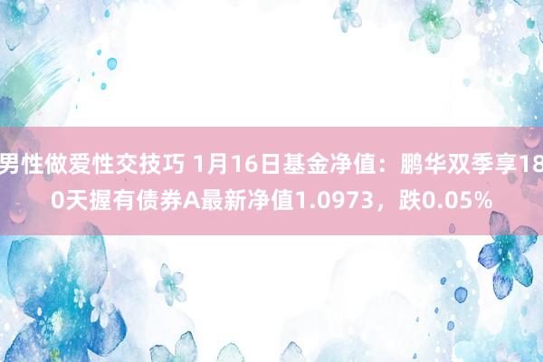 男性做爱性交技巧 1月16日基金净值：鹏华双季享180天握有债券A最新净值1.0973，跌0.05%