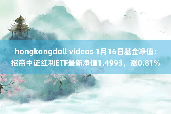 hongkongdoll videos 1月16日基金净值：招商中证红利ETF最新净值1.4993，涨0.81%