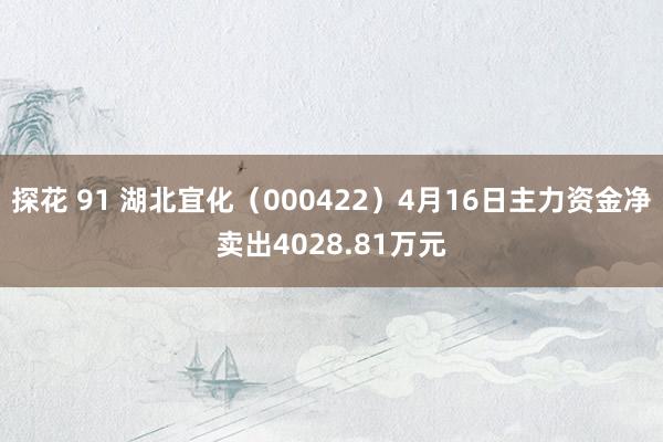 探花 91 湖北宜化（000422）4月16日主力资金净卖出4028.81万元