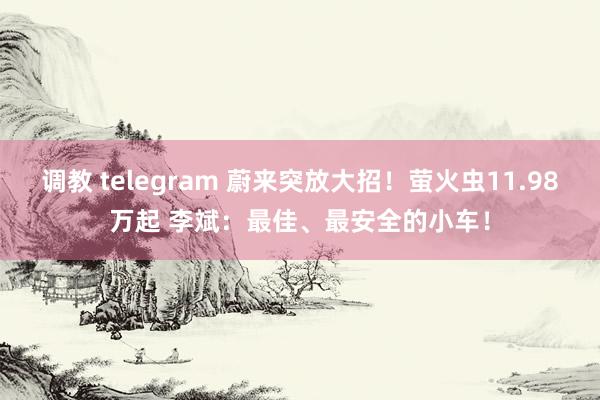 调教 telegram 蔚来突放大招！萤火虫11.98万起 李斌：最佳、最安全的小车！