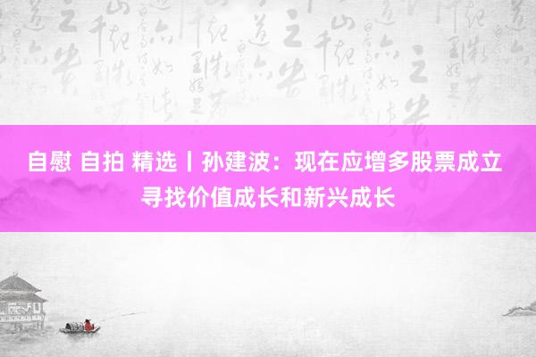 自慰 自拍 精选丨孙建波：现在应增多股票成立 寻找价值成长和新兴成长