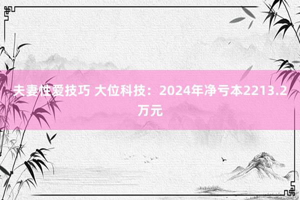 夫妻性爱技巧 大位科技：2024年净亏本2213.2万元