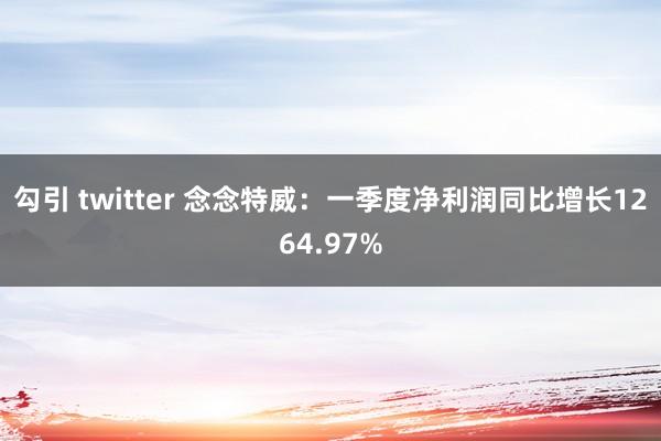 勾引 twitter 念念特威：一季度净利润同比增长1264.97%
